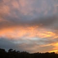 Kris Gooding