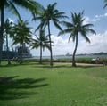 Dayra Marshall-Brown