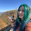 Alexis Benedetti