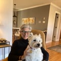 Carol Cohen