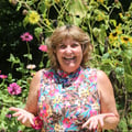 Cindi Breazeale