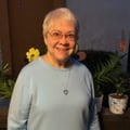Nancy C Finley