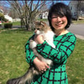 Chie Mitsui
