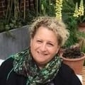 Judy Colucci